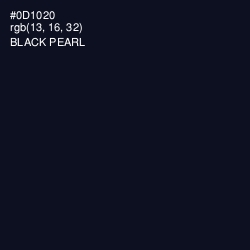 #0D1020 - Black Pearl Color Image